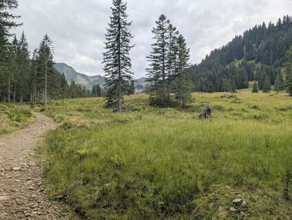 Foto de Arne Schlieder a lo largo del recorrido