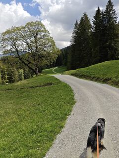 Fotografija s spletne strani Xenia Lange na poti