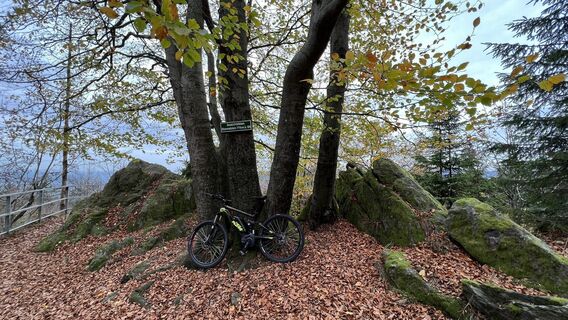 Foto von thschoe entlang der Tour