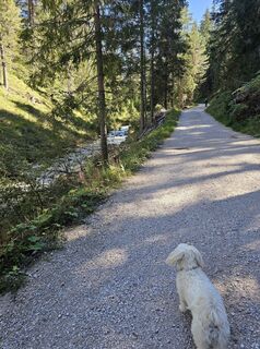 Foto von Dietmar Huber 1 entlang der Tour