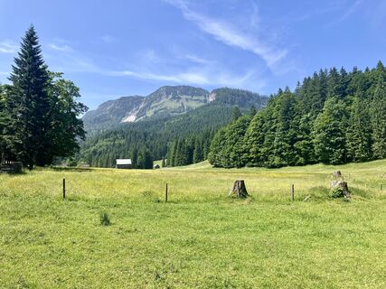 Fotografija s spletne strani Johann Holzinger na poti