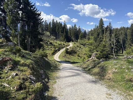 Foto de Similaun a lo largo del recorrido