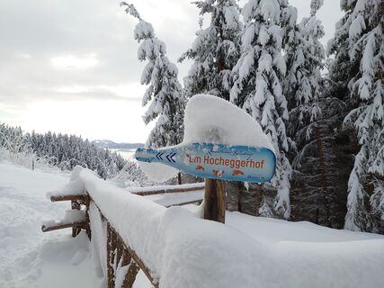 Wegweiser zum Hochegger