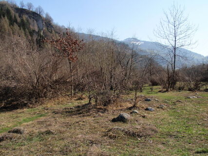 Pardiala