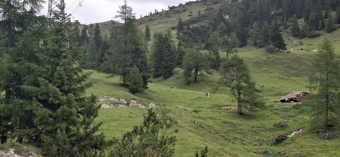 Foto von Christian Freythaler entlang der Tour