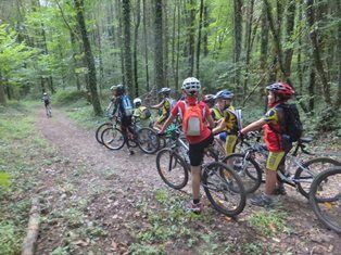 Mountainbiken im Rothonnenwald