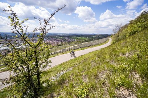 Radfahren