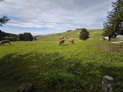 Foto von Dietmar Lüdenscheid ? entlang der Tour