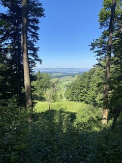 Fotografia z David Amrein na trase