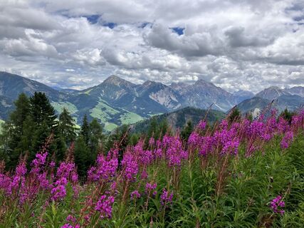 Foto von Dierk Fiekas entlang der Tour