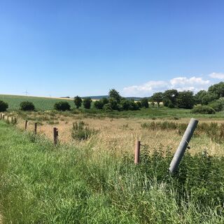 Rundweg rund um das Naturschutzgebiet am See