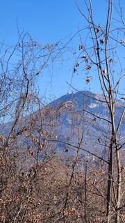 Foto fra Monika Schäfer undervejs på turen