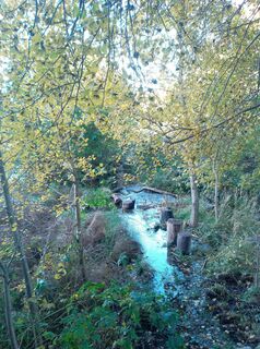 Zdjęcie z bounty1011 wzdłuż trasy