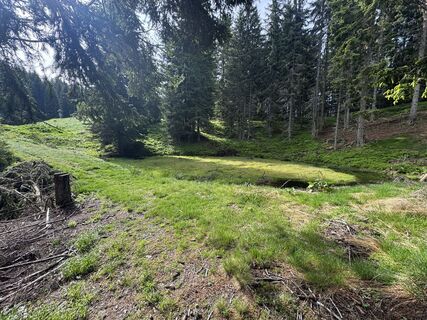 Zdjęcie z Matthias Rath wzdłuż trasy