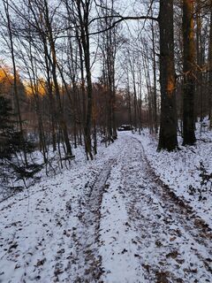 Foto de Edith K. a lo largo del recorrido