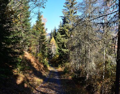 Unterwegs auf dem Spazierweg