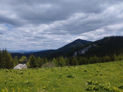 Foto von Mario Krenn 2 entlang der Tour