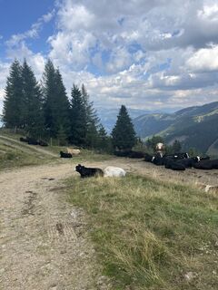 Фото с сайта Michael Rajakowitsch во время экскурсии