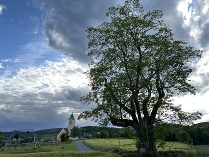 Zdjęcie z GeorgZ wzdłuż trasy