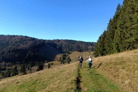 Auf dem Panoramaweg