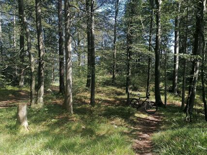 Photo de luyyy le long du parcours