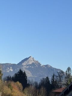 Foto von Katrin Rupprecht entlang der Tour