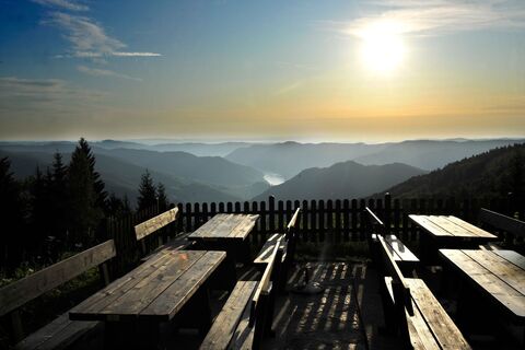 Wachauterrasse