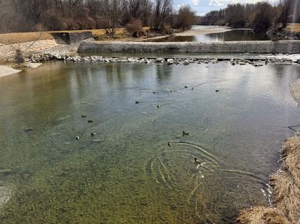 Fotografija s spletne strani Gerhard Piglmann na poti