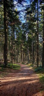 Foto von ReginaSt entlang der Tour