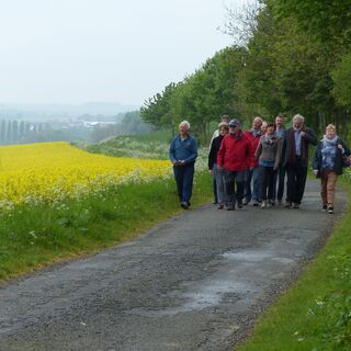 Via Francigena©courrierpicard-VF