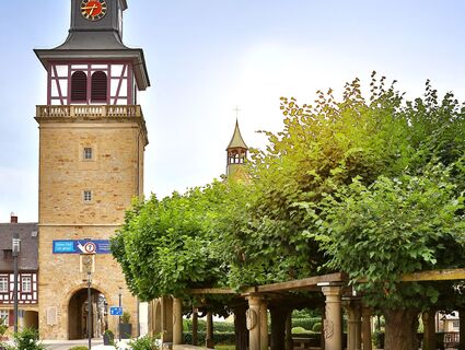 Historische Lindenanlage mit Torturm | Neuenstadt am Kocher | HeilbronnerLand