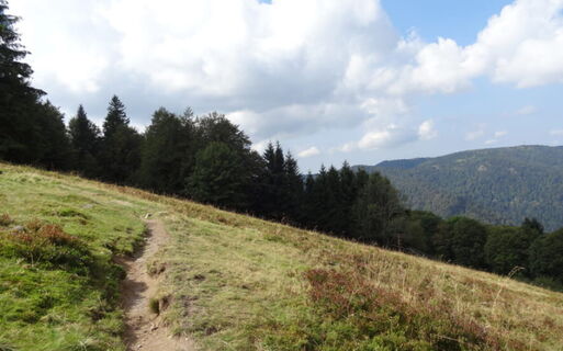 Familienausflug zum Ballon d'Alsace