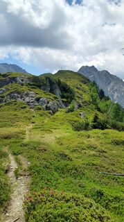 Fotografia z owspu2stk na trase