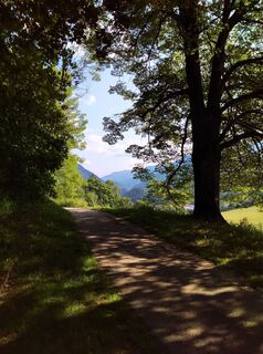 Foto von G.A. entlang der Tour