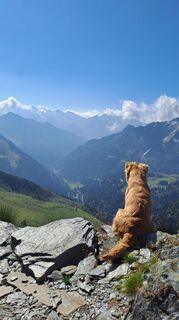 Fotografija s spletne strani Sara Lovati na poti