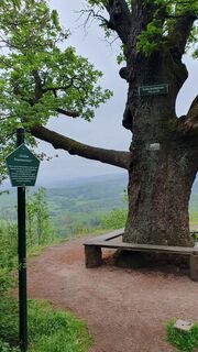 Großer Drachenstein