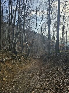 Fotografia z Attila Bicskó na trase