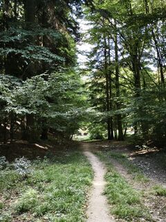 Foto von Dániel Pólya entlang der Tour