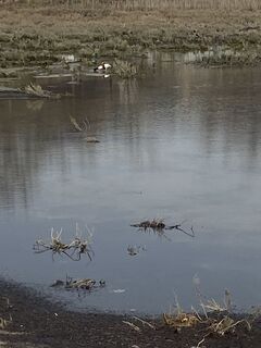 Фото с сайта Gianberto Zilli во время экскурсии