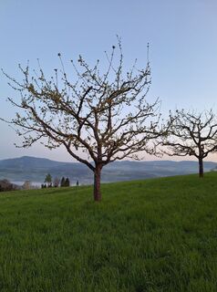 Fotografia z Dagmar Hofer na trase