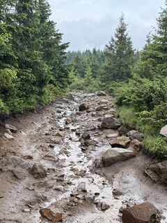 Photo de Alt Judit le long du parcours