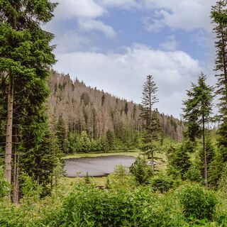 Huzenbacher See