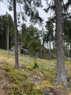Foto von KingBBQ entlang der Tour