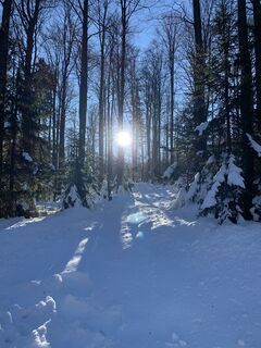 Fotografie z Stefan Lehner 2 na trase