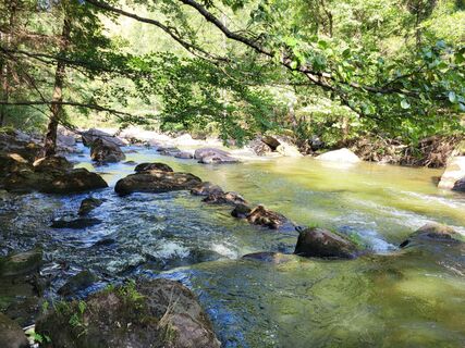 Photo de Silvia72 le long du parcours
