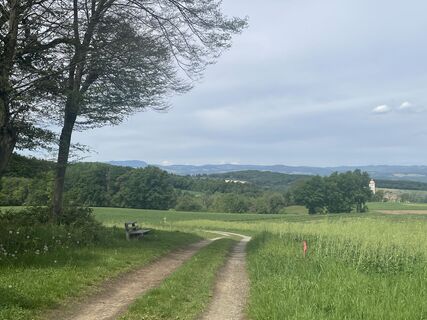 Photo de Harald Knill le long du parcours