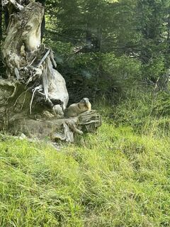 Foto från Karl Heinz Fick under resans gång