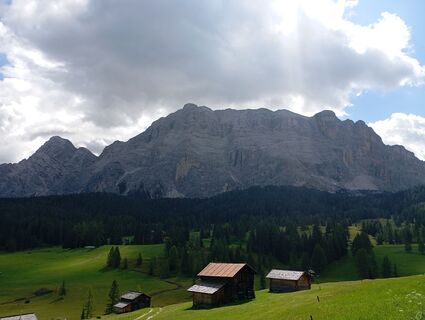 Fotografija s spletne strani edo calvo na poti