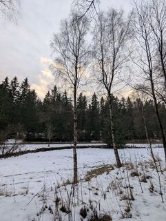 Foto de Mike Heinßmann a lo largo del recorrido