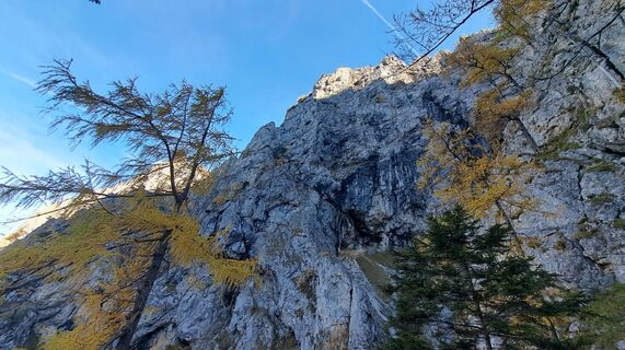 Fotografija s spletne strani monika pomahac 1 na poti